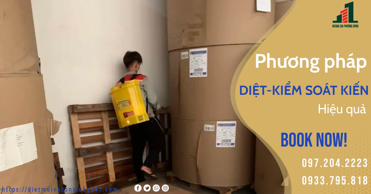 PHƯƠNG PHÁP DIỆT KIẾN HIỆU QUẢ